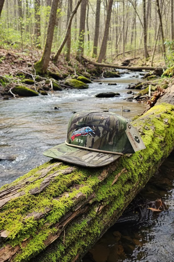 Full Foliage Eastern Gobbler