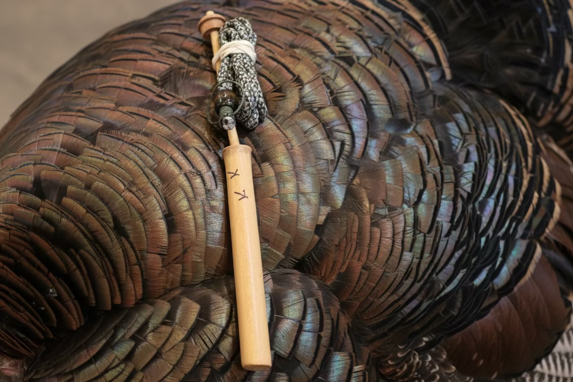 Grady’s Cane Yelpers 🦃