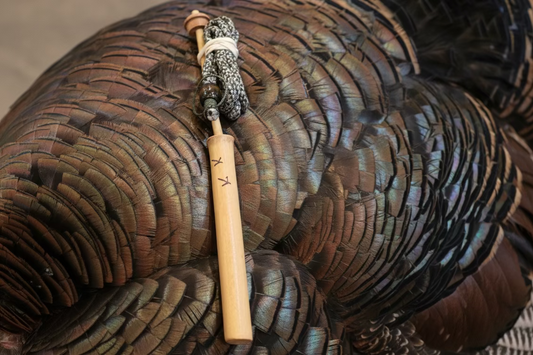 Grady’s Cane Yelpers 🦃