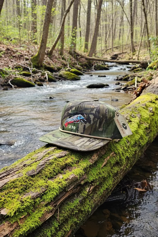 Full Foliage Eastern Gobbler